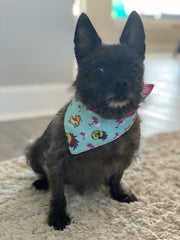 summer-dog-bandanas