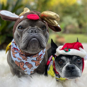 Christmas-dog-bandanas