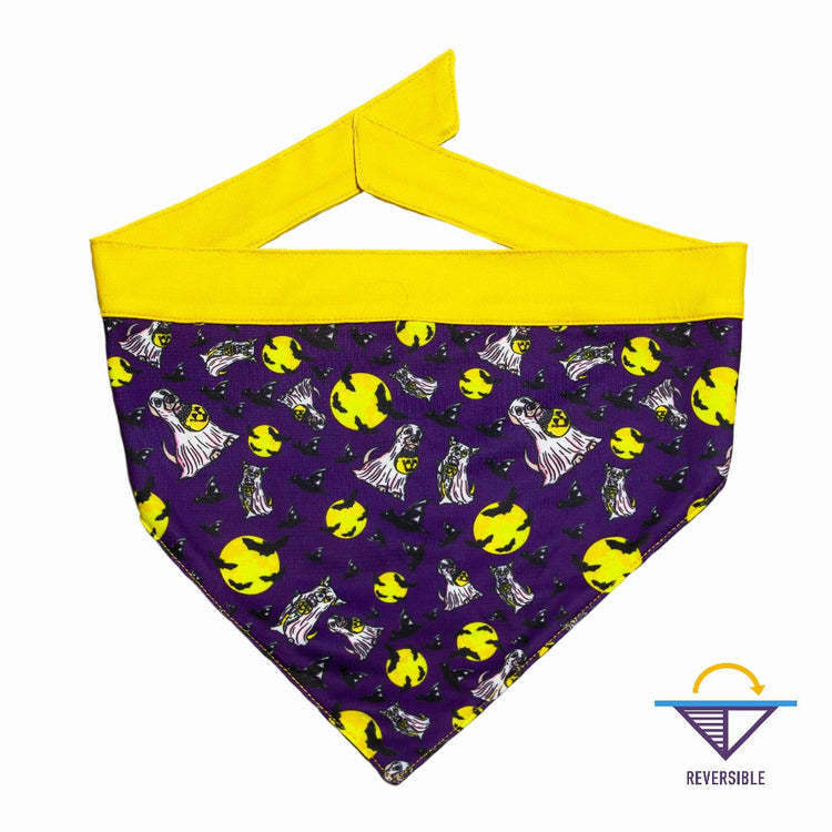KASESSS 3 Pièce Halloween Bandana Chien, Bandanas Pour Chiens