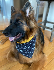 halloween-dog-bandanas