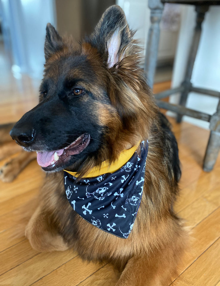 halloween-dog-bandanas