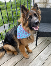 summer-dog-bandanas