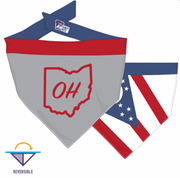 Ohio State - Ohio Flag Dog Bandanas