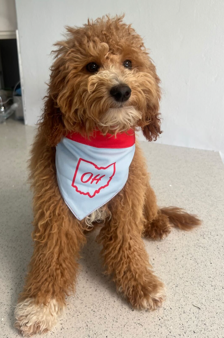 Flag best sale dog bandana