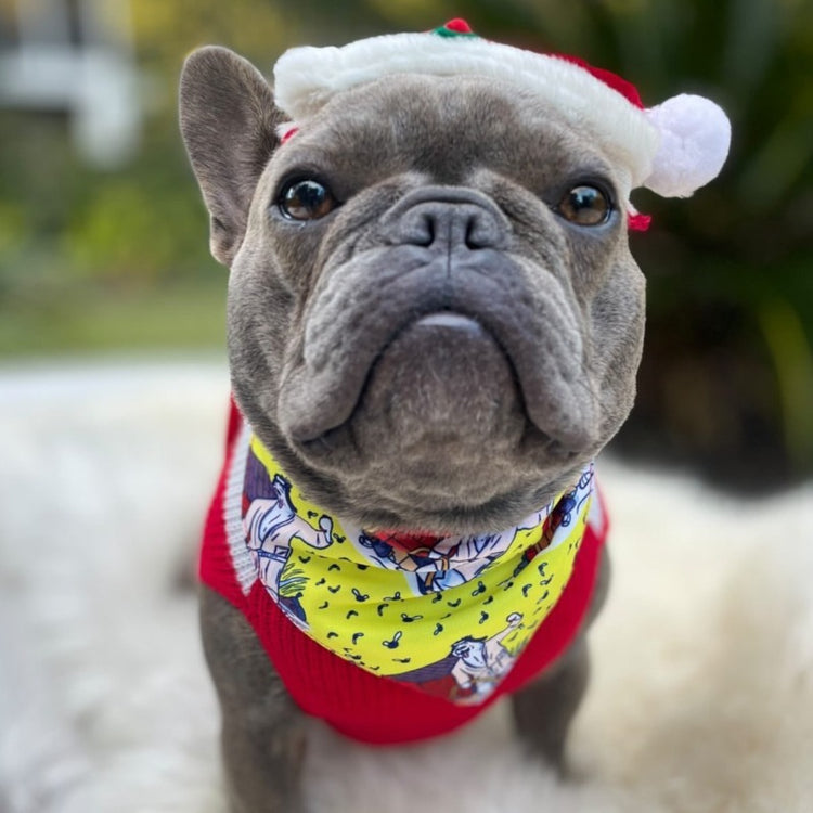 Sh*tter's Full (Xmas Lights) Christmas Bandana | Fanzy Petz