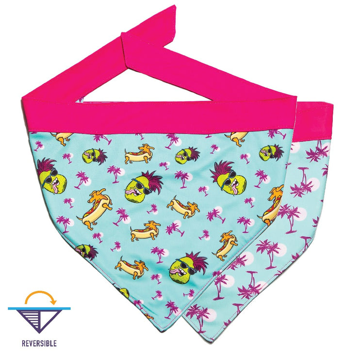 summer-dog-bandanas