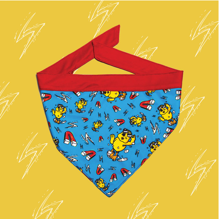 Chick-Magnet-Fire-Hydrant-Dog-Bandana-Fanzypetz